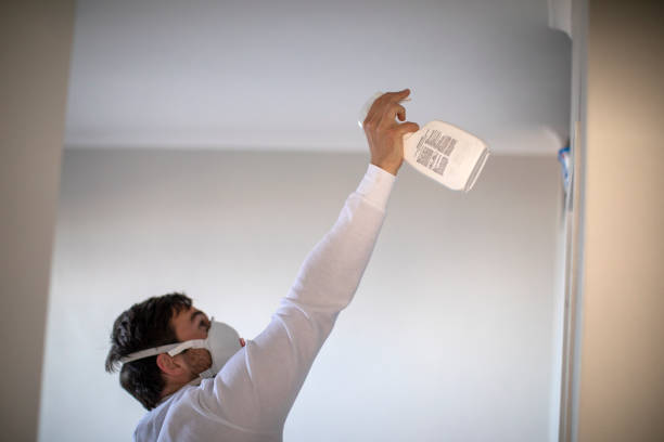 Crawl Space Mold Removal in Denton, MD