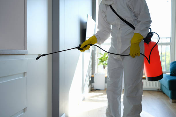 Best Mold Cleaning Services  in Denton, MD