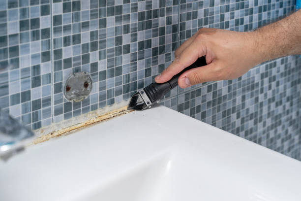 Best Fast Mold Removal  in Denton, MD