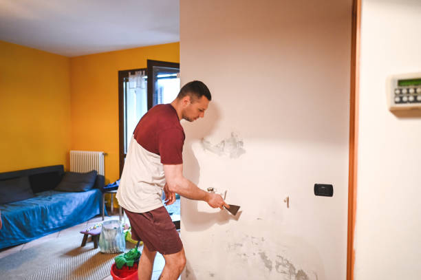 Best Attic Mold Removal  in Denton, MD